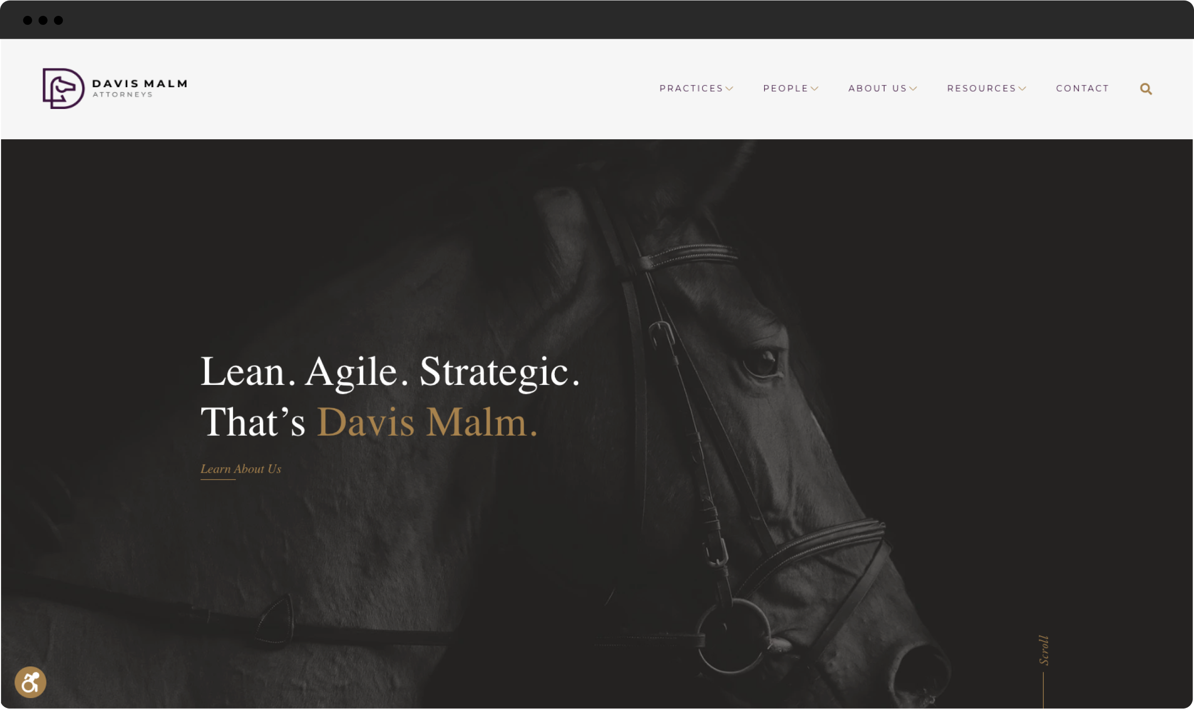 Davis Malm Home page with bold hero image