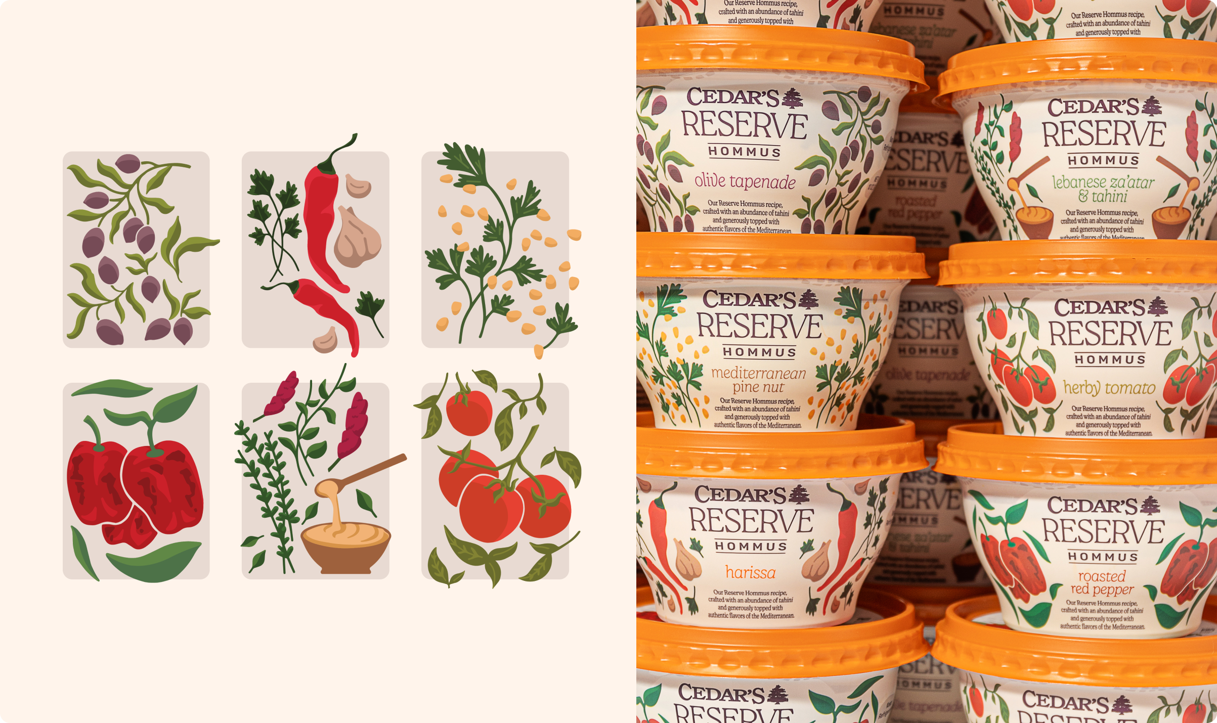 Cedar's Reserve Hommus Illustrations and Packaging